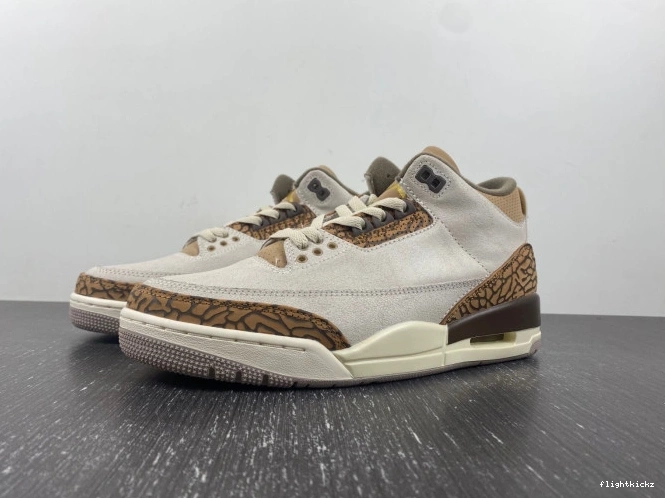 CT8532-102 3 Palomino Jordan Air 1010